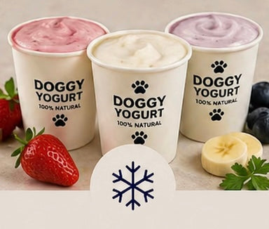 Frozen Treats