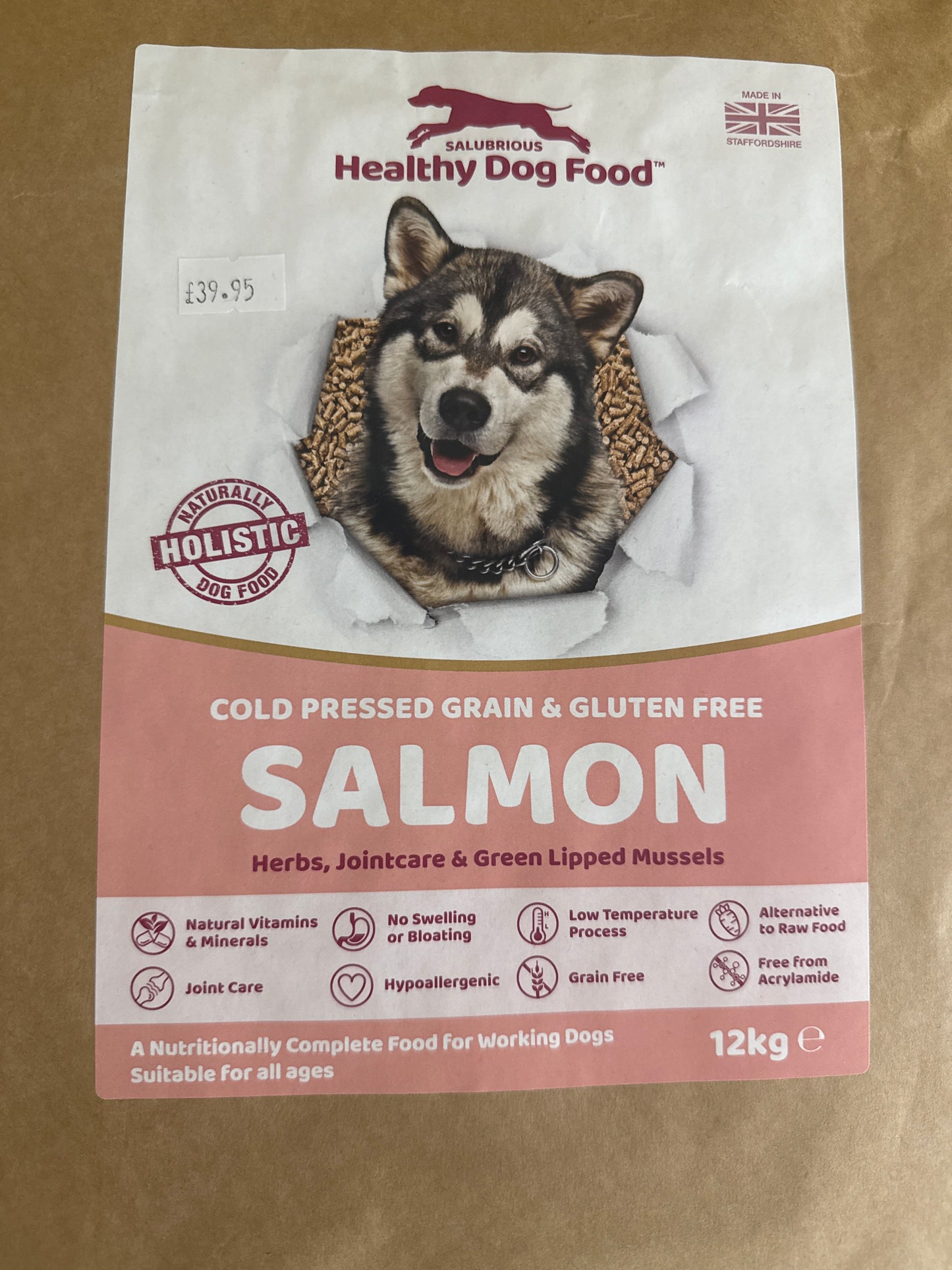 Salmon