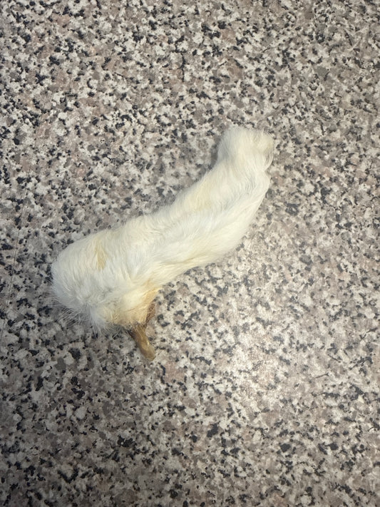 Hairy Rabbit Feet